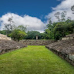 Meet your Posher, Darwin